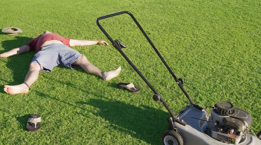 Looking for your Next Lawn-Mowing Beer?
