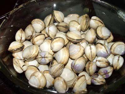 Clams