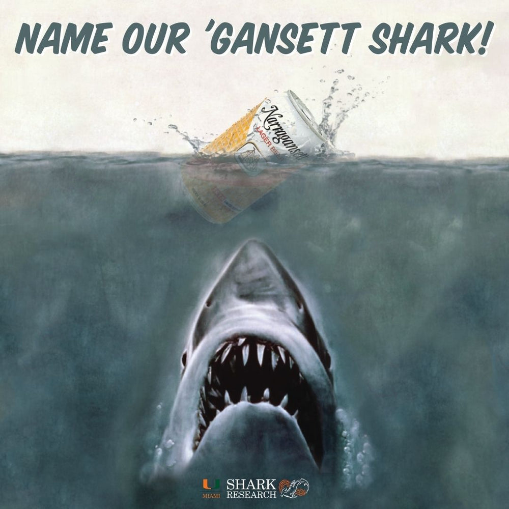 Narragansett Brewing Co. is Tagging a Shark!